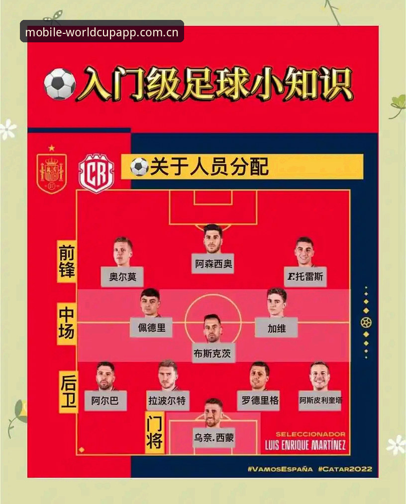 世界杯App功能模块全面解析：从安装到实时跟进的实战指南