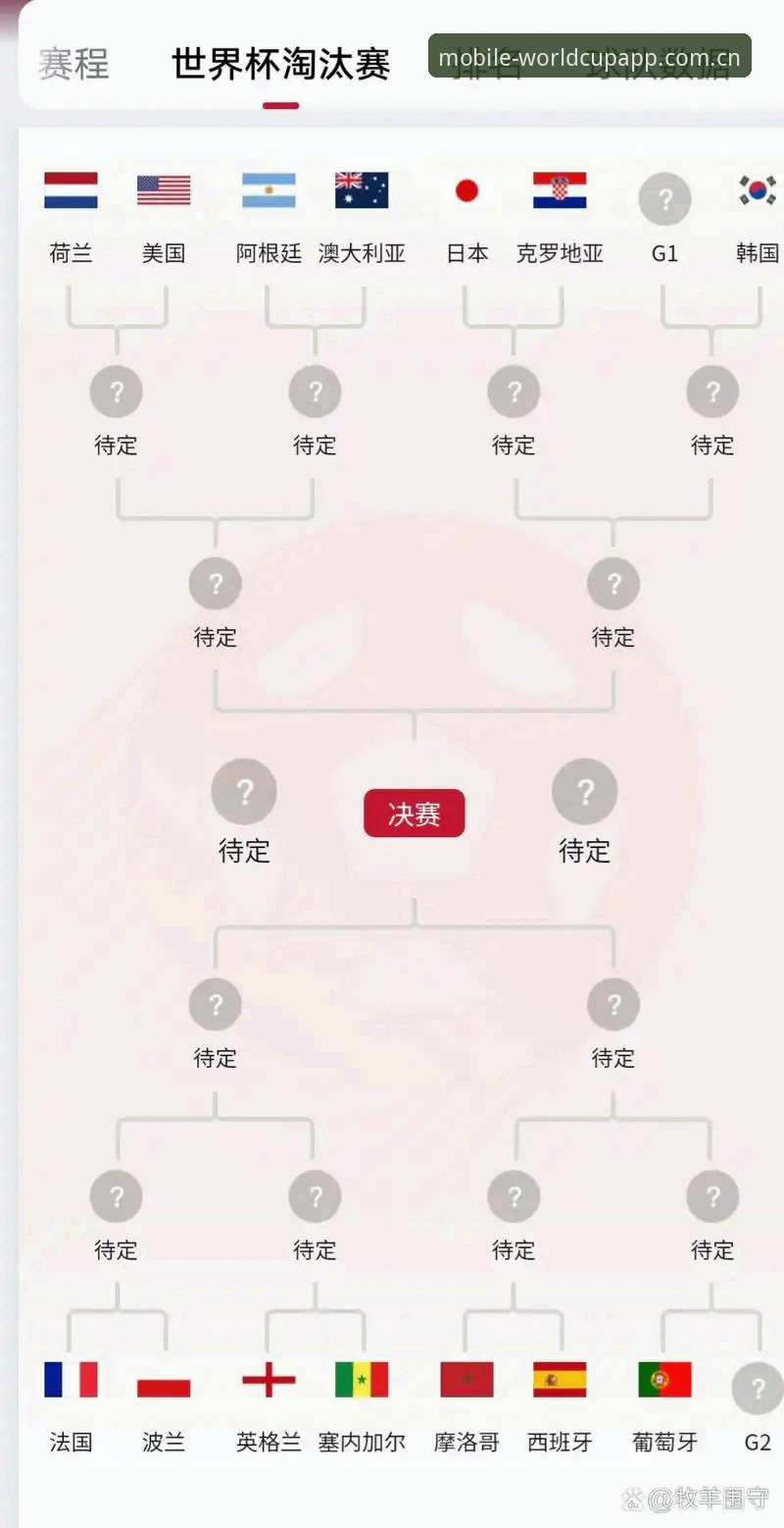 世界杯App安装教程实用指南：从下载到设置的全流程技巧